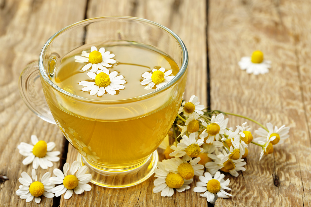 chamomile